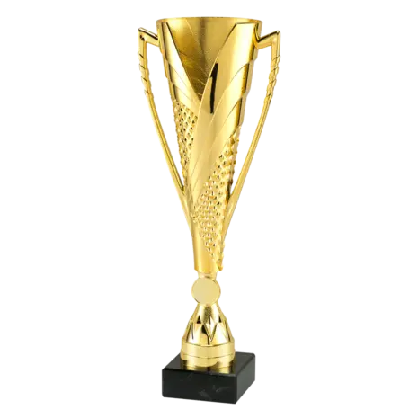 Sportprijzen Leiden Sportprijs ET.448 Goud