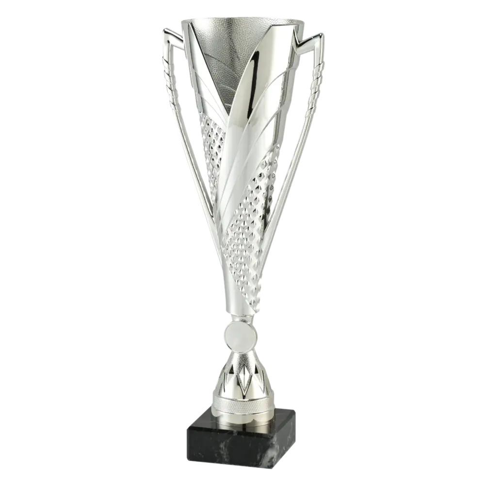 Sportprijzen Leiden Sportprijs ET.448 Zilver