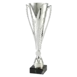 Sportprijzen Leiden Sportprijs ET.448 Zilver Sportprijzen Leiden Sportprijs ET.448 Zilver