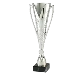 Sportprijzen Leiden Sportprijs ET.448 Zilver