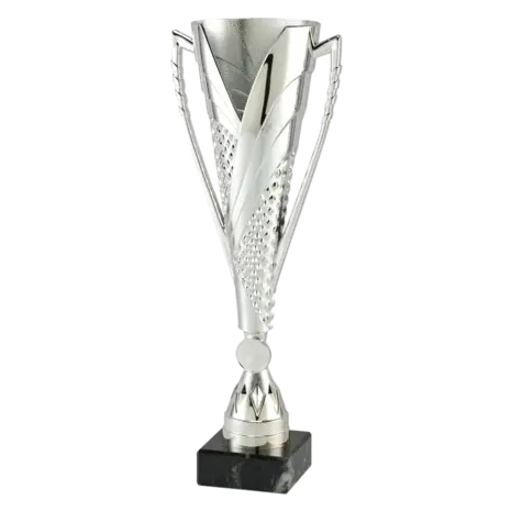 Sportprijzen Leiden Sportprijs ET.448 Zilver