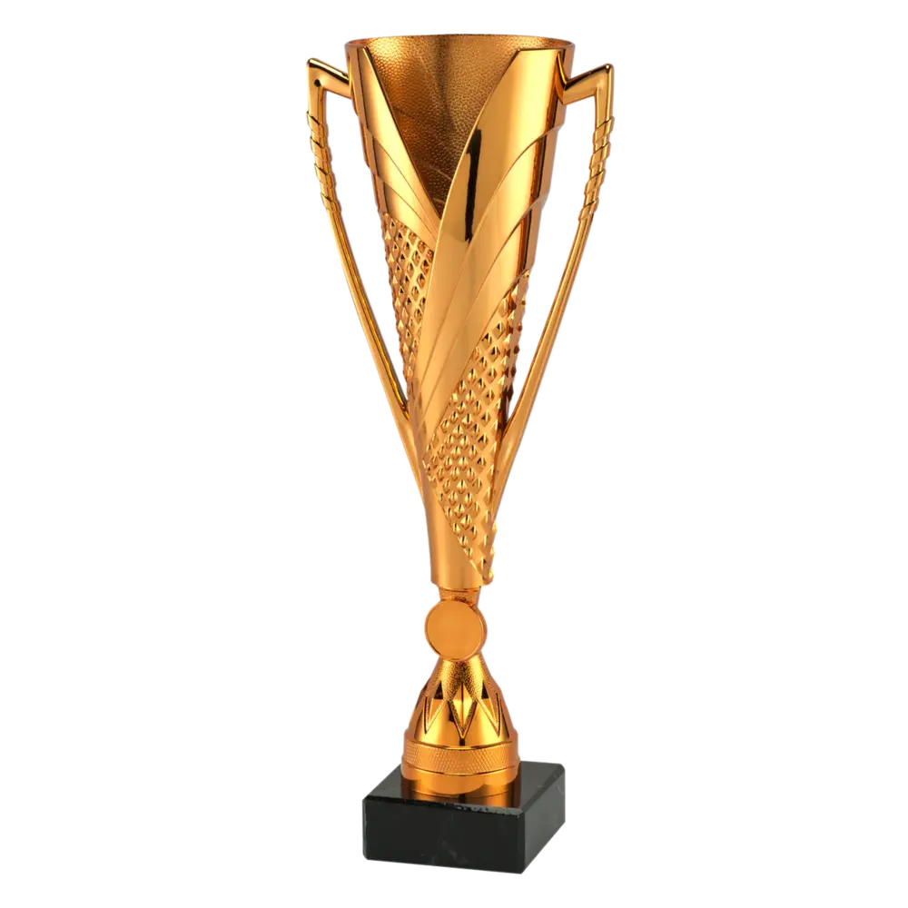 Sportprijzen Leiden Sportprijs ET.448 Brons