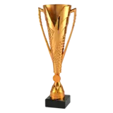 Sportprijzen Leiden Sportprijs ET.448 Brons Sportprijzen Leiden Sportprijs ET.448 Brons