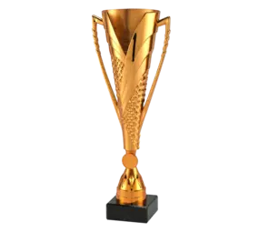 Sportprijzen Leiden Sportprijs ET.448 Brons