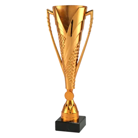 Sportprijzen Leiden Sportprijs ET.448 Brons