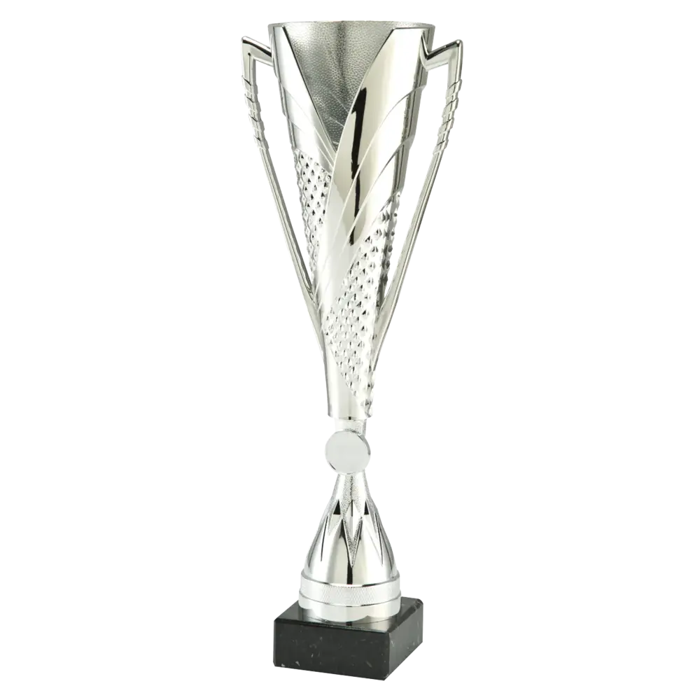 Sportprijzen Leiden Sportprijs ET.449 Sportprijzen Leiden Sportprijs ET.449