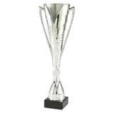 Sportprijzen Leiden Sportprijs ET.449 Sportprijzen Leiden Sportprijs ET.449