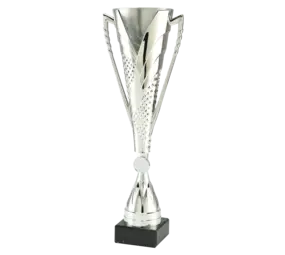 Sportprijzen Leiden Sportprijs ET.449