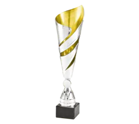 Sportprijzen Leiden Trofee 100.33