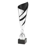 Sportprijzen Leiden Trofee 100.16