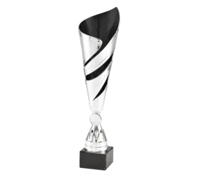 Sportprijzen Leiden Trofee 100.16