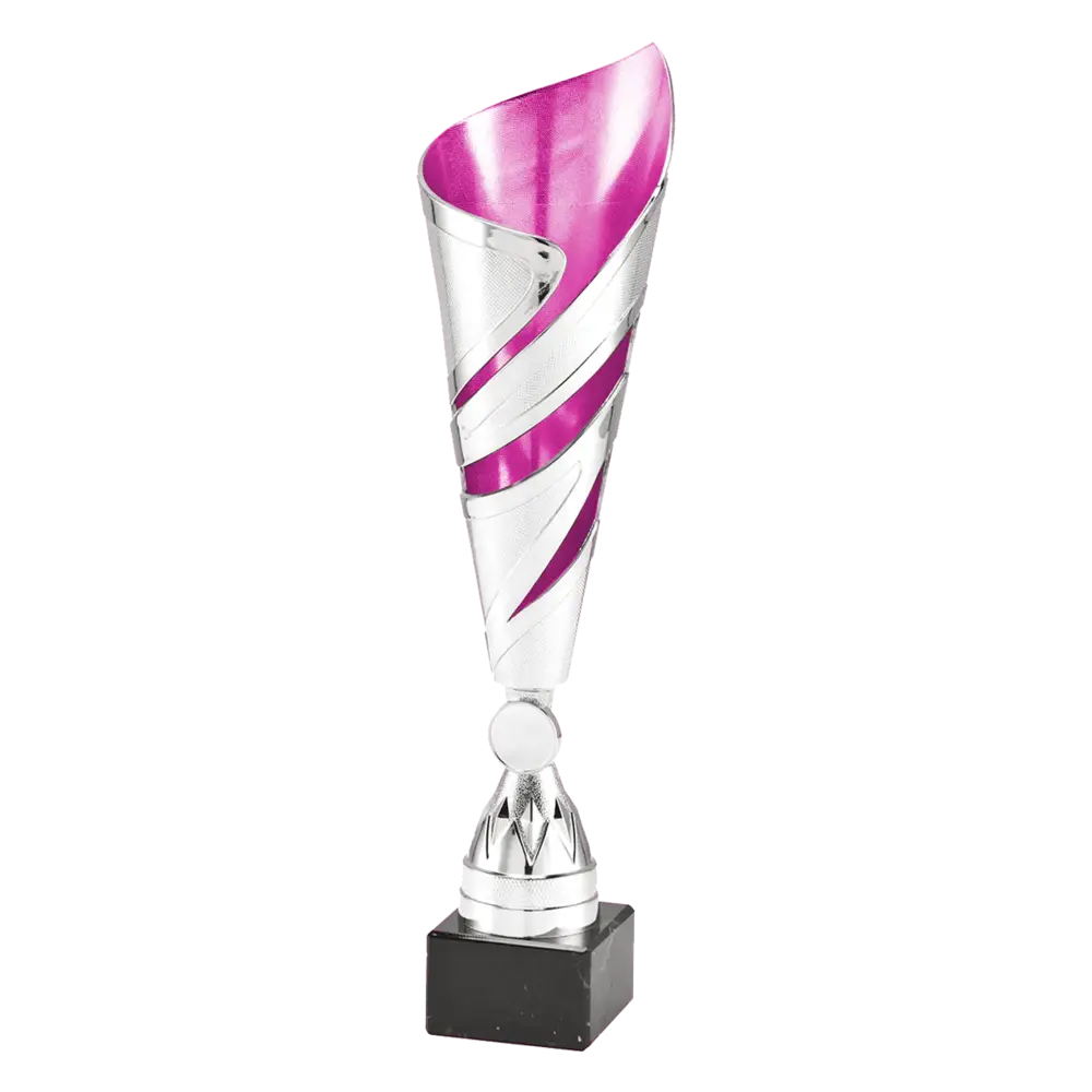 Sportprijzen Leiden Trofee 100.152