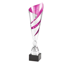 Sportprijzen Leiden Trofee 100.152