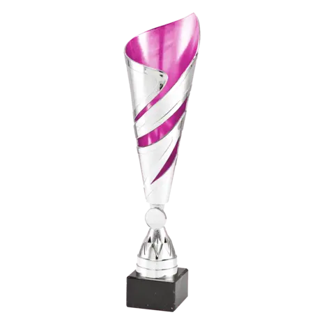 Sportprijzen Leiden Trofee 100.152