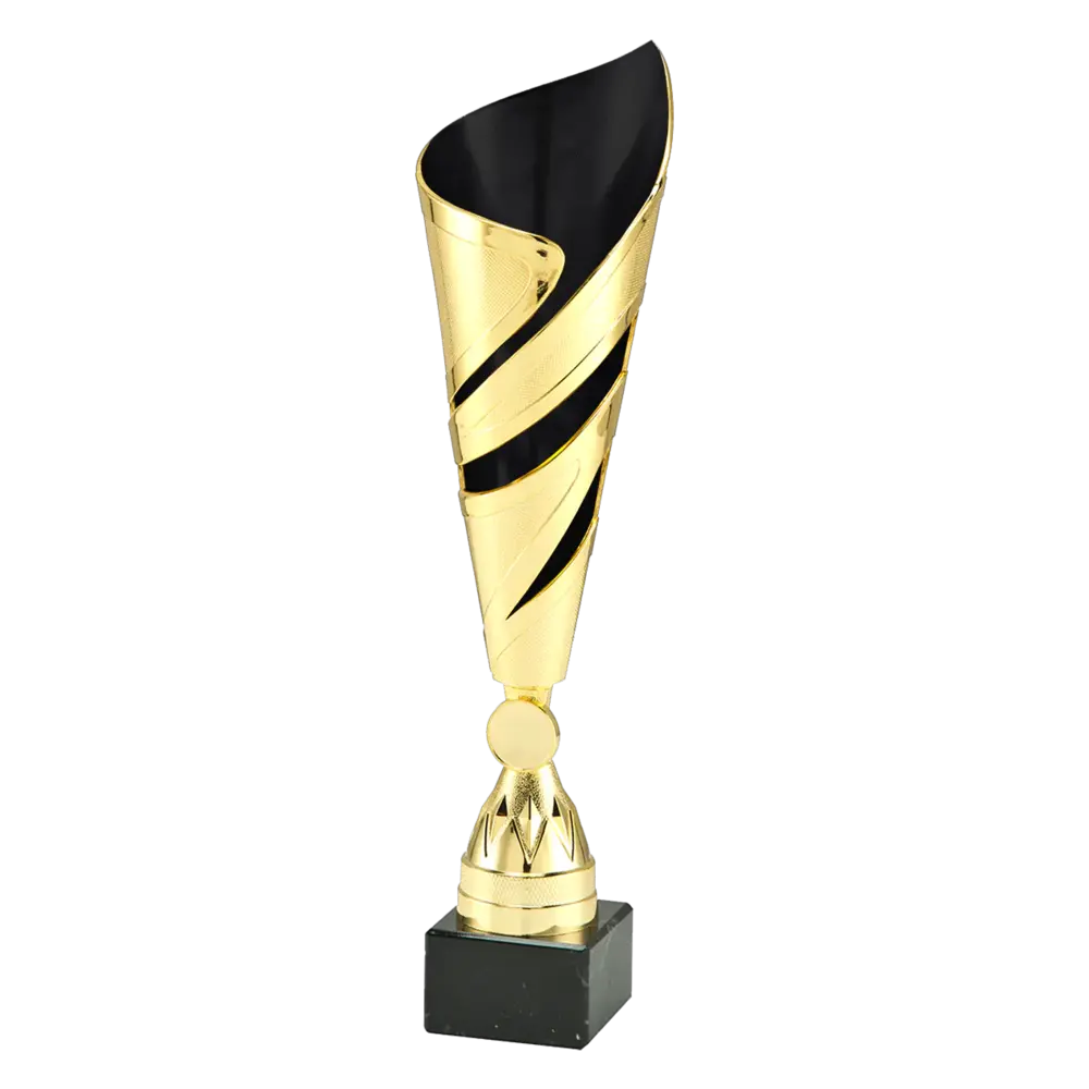 Sportprijzen Leiden Trofee 100.15