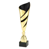 Sportprijzen Leiden Trofee 100.15