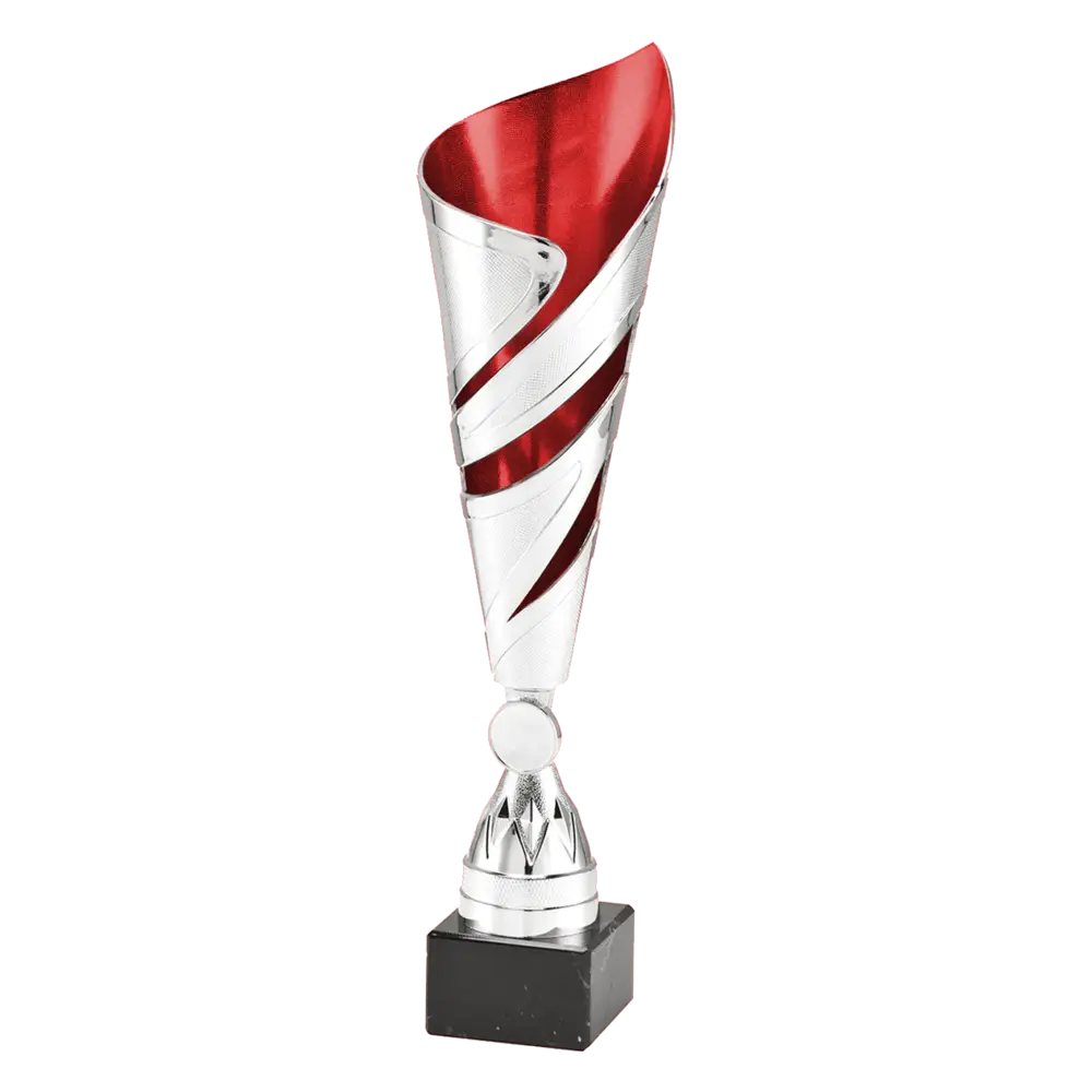 Sportprijzen Leiden Trofee 100.11