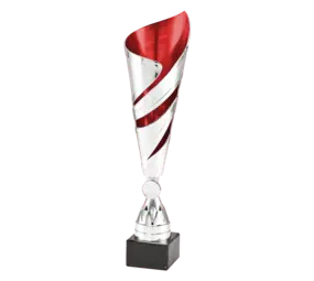 Sportprijzen Leiden Trofee 100.11