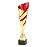 Sportprijzen Leiden Trofee 100.06