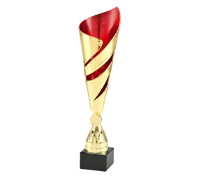 Sportprijzen Leiden Trofee 100.06