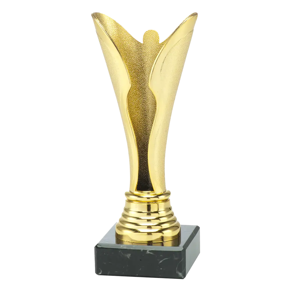 Sportprijzen Leiden Trofee Serie 79, 80, 81