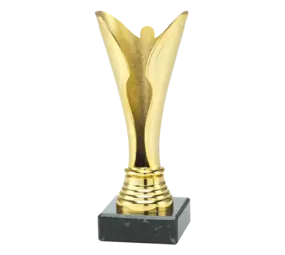 Sportprijzen Leiden Trofee Serie 79, 80, 81