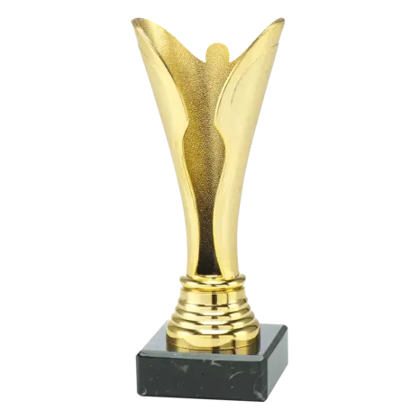 Sportprijzen Leiden Trofee Serie 79, 80, 81