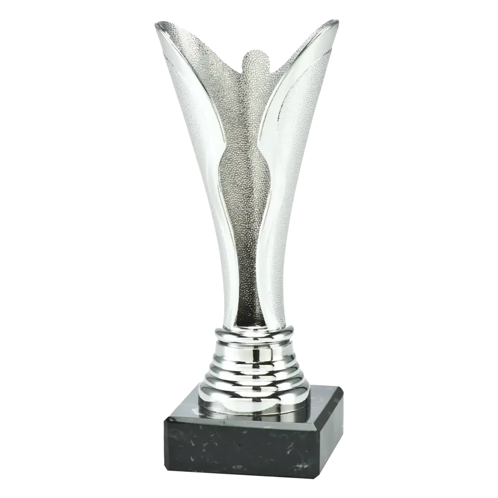 Sportprijzen Leiden Trofee Serie 79, 80, 81