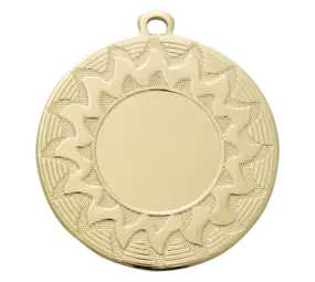 Sportprijzen Leiden Medaille ME.104