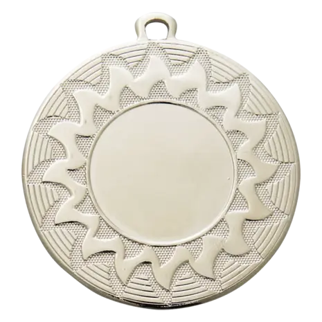 Sportprijzen Leiden Medaille ME.104