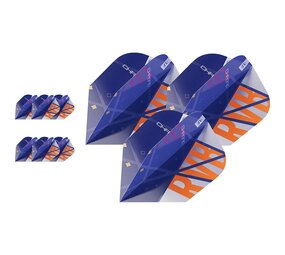 Target Ultra Player Raymond van Barneveld Chrono No.2 3 sets