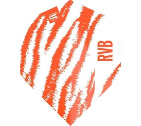 Target Pro Player Raymond van Barneveld Brass White No.2