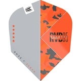 Target Vision Ultra Player Raymond van Barneveld Echo No.6