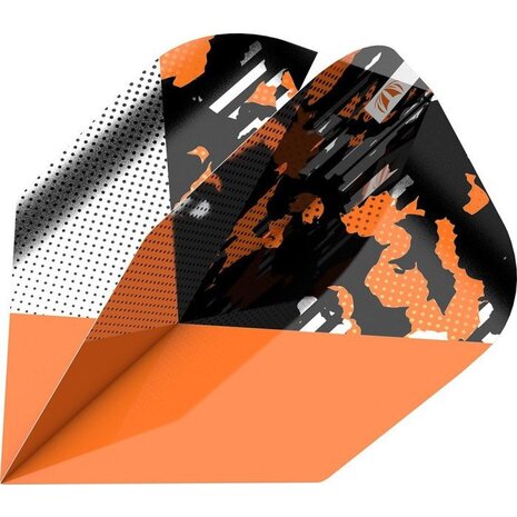 Target Target Ultra Icon Raymond van Barneveld Gold No.6