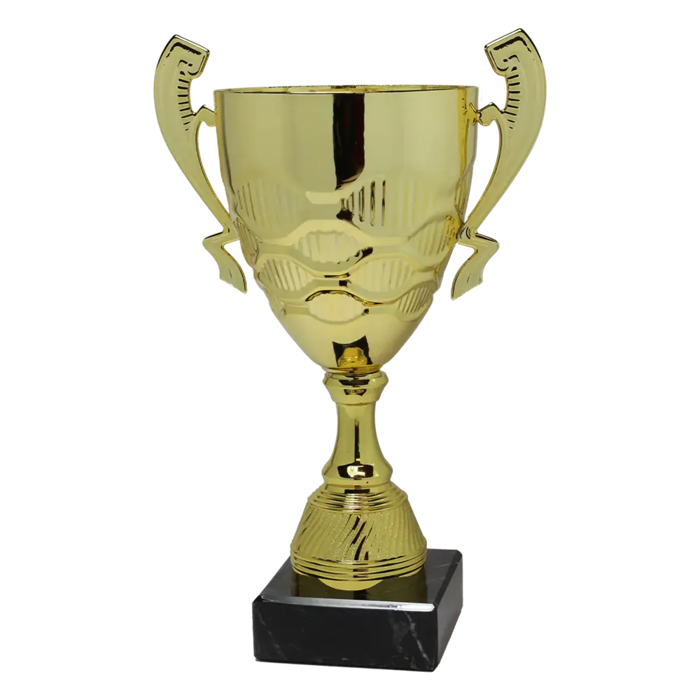 Sportprijzen Leiden Trofee Serie91