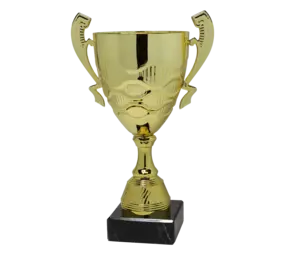 Sportprijzen Leiden Trofee Serie91