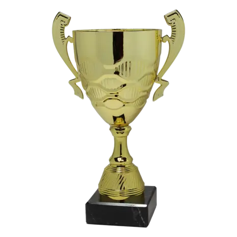 Sportprijzen Leiden Trofee Serie91