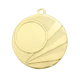 Sportprijzen Leiden Medaille D112H