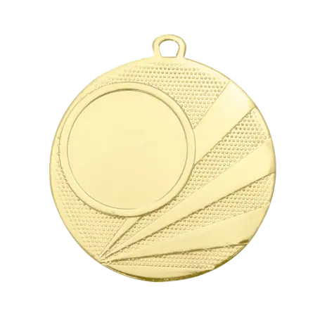 Sportprijzen Leiden Medaille D112H