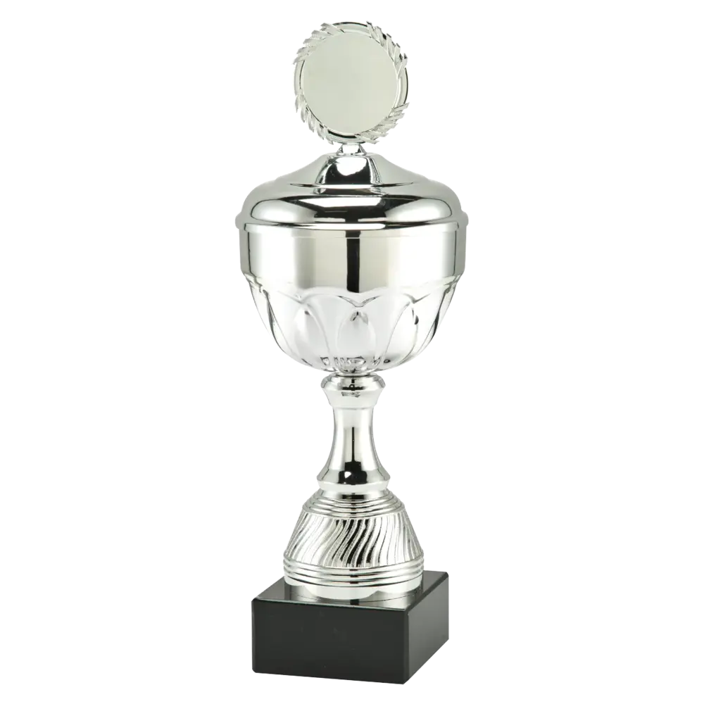Sportprijzen Leiden Trofee MT.139
