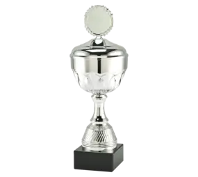 Sportprijzen Leiden Trofee MT.139