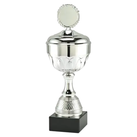 Sportprijzen Leiden Trofee MT.139
