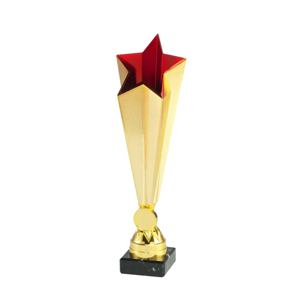 Sportprijzen Leiden Trofee X771