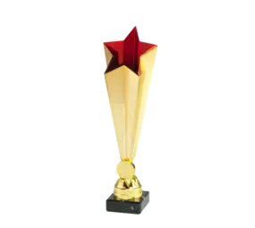 Sportprijzen Leiden Trofee X771