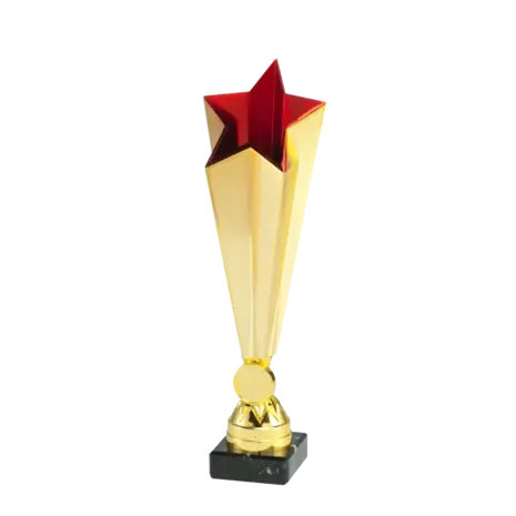 Sportprijzen Leiden Trofee X771