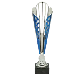 Sportprijzen Leiden Trofee X181