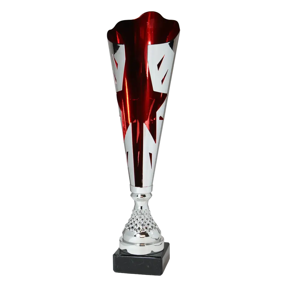 Sportprijzen Leiden Trofee SERIE101