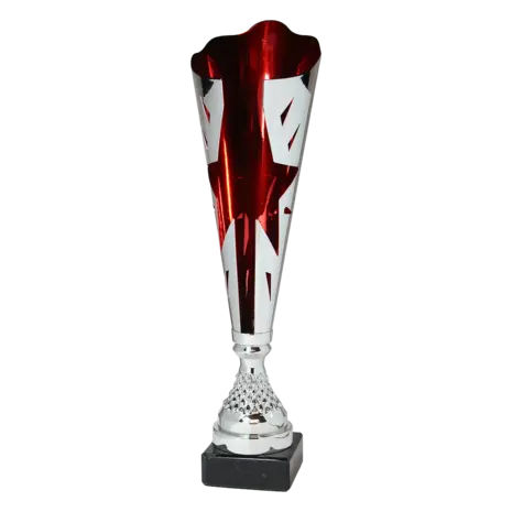 Sportprijzen Leiden Trofee SERIE101