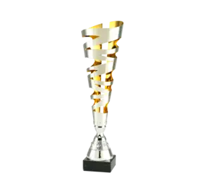 Sportprijzen Leiden Trofee MT.129