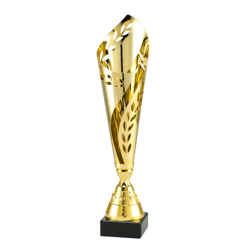 Sportprijzen Leiden Trofee MT.125